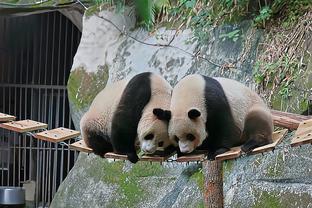 徐静雨：湖人输球没有其他原因 就是投入程度不够